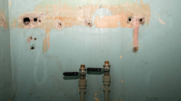 Best Ceiling water damage repair  in West Orange, TX