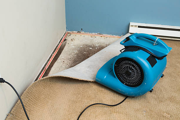 Trusted West Orange, TX Water damage restoration Experts